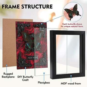 Real Butterfly Framed Butterfly Taxidermy - Butterfly Shadow Box, Real Framed Butterflies in a Box for Gothic Home Decor Aesthetic (A_Alpine Black Swallowtail Red Background #1)