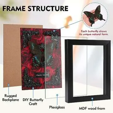 Real Butterfly Framed Butterfly Taxidermy - Butterfly Shadow Box, Real Framed Butterflies in a Box for Gothic Home Decor Aesthetic (A_Alpine Black Swallowtail Red Background #1)