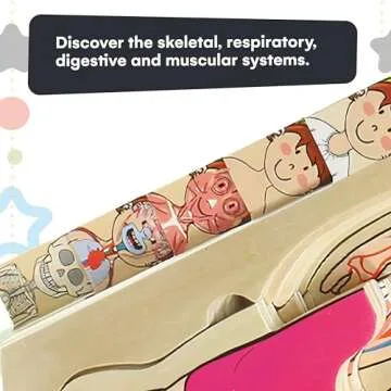 Kidzlane African American Boy Wooden My Body Puzzle for Toddlers and Kids - 29 Piece Girls Anatomy Puzzle Kid Play Set - Layered Wooden Anatomy Puzzle - Preschool Game, Montessori Skeleton Toy