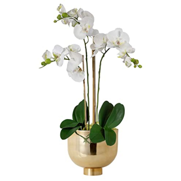 Serene Spaces Living DIY Orchid KIT: Contains Realistic White Orchids in Pot, Gold Compote Bowl & Pr...