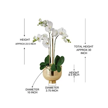 DIY Orchid Kit - Realistic Orchids and Elegant Home Decor