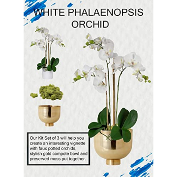 DIY Orchid Kit - Realistic Orchids and Elegant Home Decor
