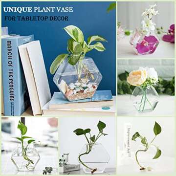 Kingbuy Wall Hanging Planter Glass Terrarium Propagation Stations Geometric Hexagon Shape Hydroponics Vase for Home Office Indoor Decor, 3 Pack, Clear Large