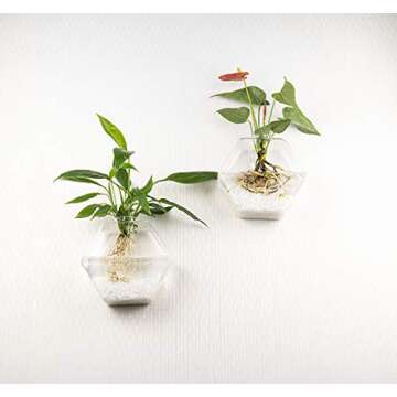Kingbuy Wall Hanging Planter Glass Terrarium Propagation Stations Geometric Hexagon Shape Hydroponics Vase for Home Office Indoor Decor, 3 Pack, Clear Large