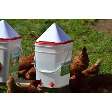 RentACoop 5 Gallon Chicken Waterer for Low-Maintenance Care