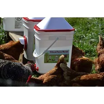 RentACoop 5 Gallon Chicken Waterer for Low-Maintenance Care