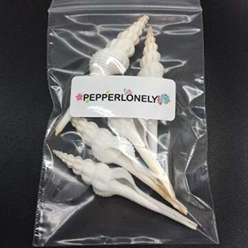 PEPPERLONELY 5 PC Pretty White Spindle Sea Shells, 3 Inch ~ 4 Inch