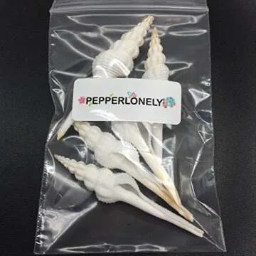 PEPPERLONELY 5 PC Pretty White Spindle Sea Shells, 3 Inch ~ 4 Inch