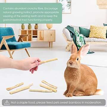 Bissap Sweet Bamboo Chew Sticks for Small Animals