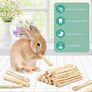 Bissap Sweet Bamboo Chew Sticks for Small Animals