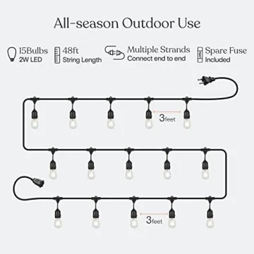 Brightech Ambience Pro LED Outdoor String Lights 48ft