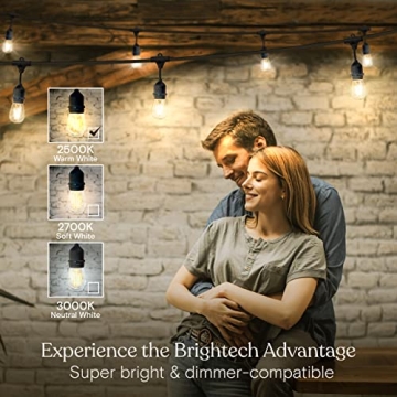 Brightech Ambience Pro LED Outdoor String Lights 48ft