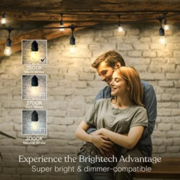 Brightech Ambience Pro LED Outdoor String Lights 48ft