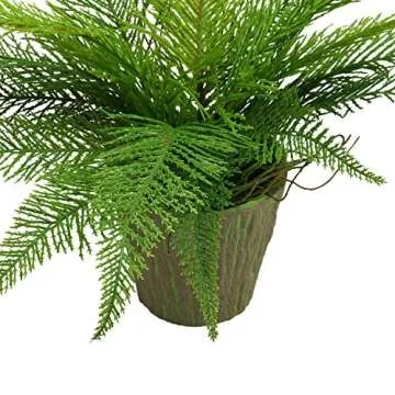 Lifelike SHACOS Artificial Potted Boston Fern Set of 2