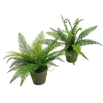 Lifelike SHACOS Artificial Potted Boston Fern Set of 2