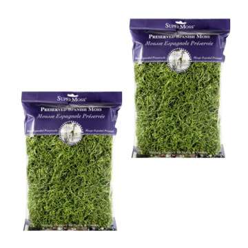 Super Moss 26912 Preserved Spanish Moss - 8oz (200 Cubic Inch) (2 Bags)