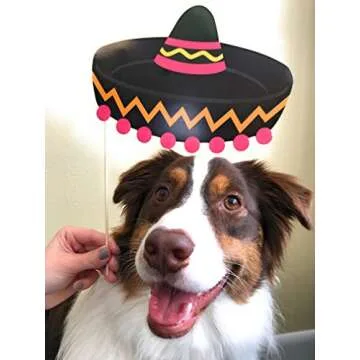 Mexican Fiesta Photo Booth Props. Cinco de Mayo Fiesta Party Supplies Day of The Dead Masks. Kit of 20 Pieces. Dia De Los Muertos - Sugar Skull Fiesta Decorations