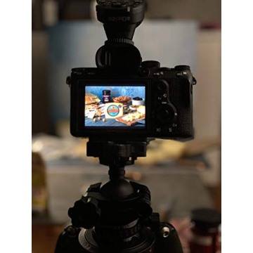 SnapIt Boards Combo - Perfect Photo Backdrop Boards