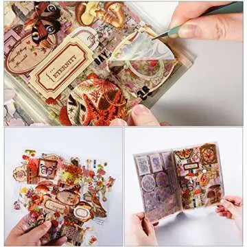 20 Sheets Vintage Aesthetic Stickers Book for Journaling,Transparent PET Black White Celestial Antiquarian Stickers Decal Set for Art Junk Journal Planners DIY Notebook Collage Album (chengbaohuayuan)