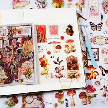 20 Sheets Vintage Aesthetic Stickers Book for Journaling,Transparent PET Black White Celestial Antiquarian Stickers Decal Set for Art Junk Journal Planners DIY Notebook Collage Album (chengbaohuayuan)