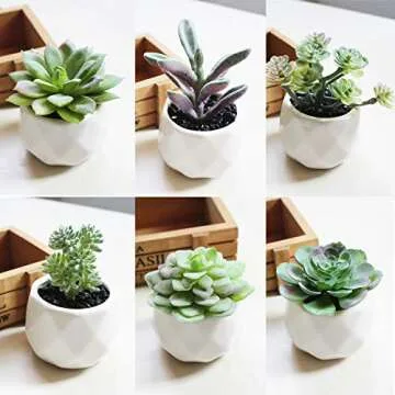 Augshy 16 Pack Artificial Succulents - Perfect Home Decor