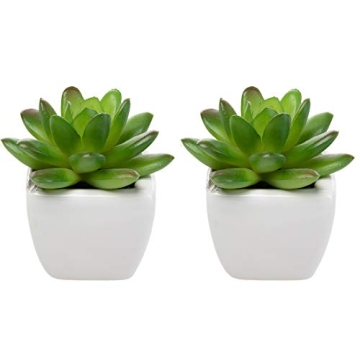 Home Trends Set of 8 Mini Artificial Succulents in Pots