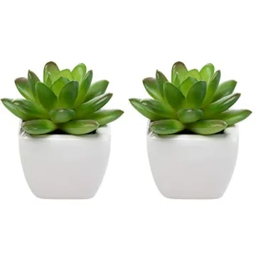 Home Trends Set of 8 Mini Artificial Succulents in Pots