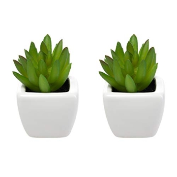 Home Trends Set of 8 Mini Artificial Succulents in Pots