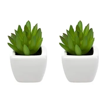 Home Trends Set of 8 Mini Artificial Succulents in Pots