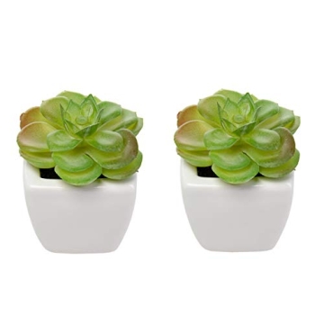 Home Trends Set of 8 Mini Artificial Succulents in Pots