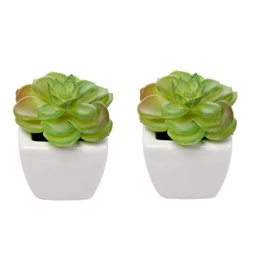 Home Trends Set of 8 Mini Artificial Succulents in Pots