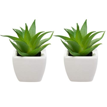 Home Trends Set of 8 Mini Artificial Succulents in Pots