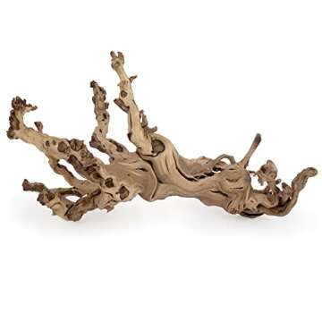 De La Terre Sandblasted Natural California Grapevine Grapewood | Decorative Grape Vine Wood Décor (24 Inch)