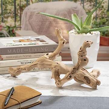 De La Terre Sandblasted Natural California Grapevine Grapewood | Decorative Grape Vine Wood Décor (24 Inch)