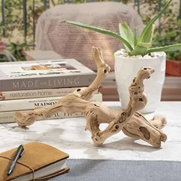 De La Terre Sandblasted Natural California Grapevine Grapewood | Decorative Grape Vine Wood Décor (24 Inch)