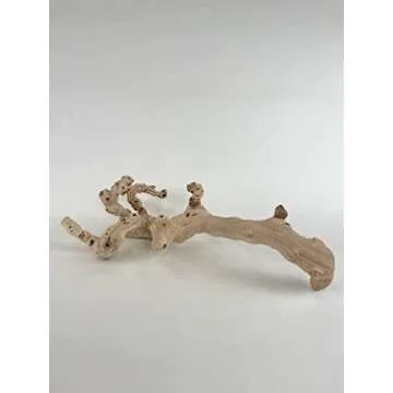 De La Terre Sandblasted Natural California Grapevine Grapewood | Decorative Grape Vine Wood Décor (24 Inch)