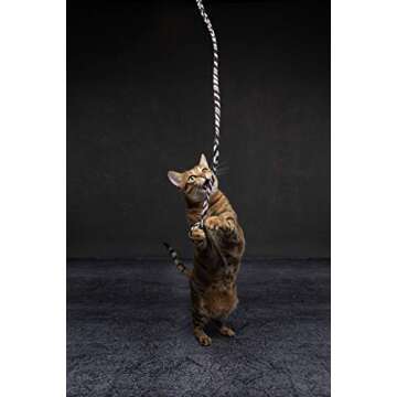 CAT DANCER Jungle Cat Wand (Pack of 2), Charmer Interactive Cat Toy, Safe Teaser Wand for Indoor Cat...