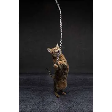 CAT DANCER Jungle Cat Wand (Pack of 2), Charmer Interactive Cat Toy, Safe Teaser Wand for Indoor Cat...