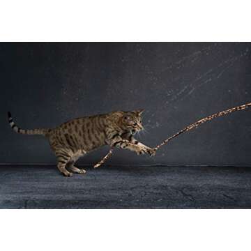 CAT DANCER Jungle Cat Wand (Pack of 2), Charmer Interactive Cat Toy, Safe Teaser Wand for Indoor Cats & Kittens, Flexible Exercise Toy Made of Multicolor Fabric Ribbon, For Medium Breeds