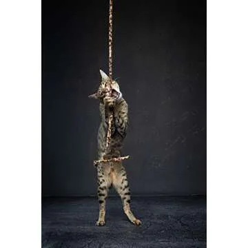 CAT DANCER Jungle Cat Wand (Pack of 2), Charmer Interactive Cat Toy, Safe Teaser Wand for Indoor Cats & Kittens, Flexible Exercise Toy Made of Multicolor Fabric Ribbon, For Medium Breeds