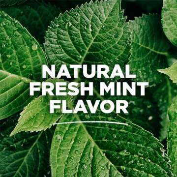 Tom's of Maine Whole Care Natural Mouthwash - 3 Pack