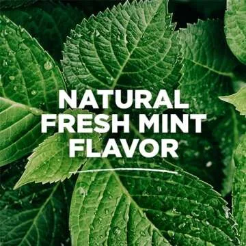 Tom's of Maine Whole Care Natural Mouthwash - 3 Pack