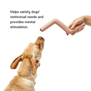 Durable Wild One Bolt Bite Dog Toy for Chewers and Puppies