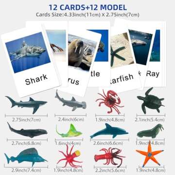 MEROCO Montessori Animal Match Game Cards Marine Animal Matching Montessori Language Materials Toddlers Preschool Educational Learning Toys NEWT011