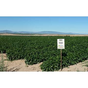 Zona Organic | Spanish Fire Roasted Piquillo Peppers | 6.5 oz (Pack of 2)