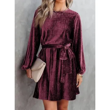 Elegant Long Sleeve Velvet Dress for Women - Happy Sailed