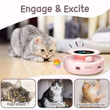 ORSDA Electronic Cat Toy 2-in-1 for Indoor Cats - Interactive Fun