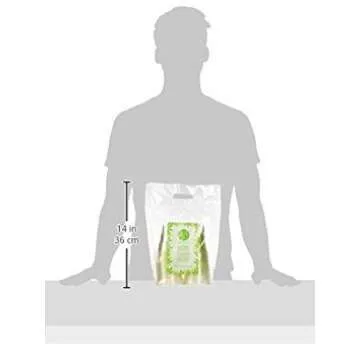 Repurpose 100% Compostable Plant-Based Cups - 50 Pack