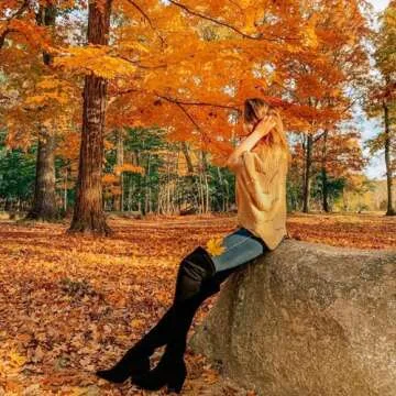 N.N.G Women Over the Knee Boots Winter Black Size 10 Suede Thigh High Long OTK Autumn Chunky Wedge Comfort Block Designer Ladies Pointed Toe