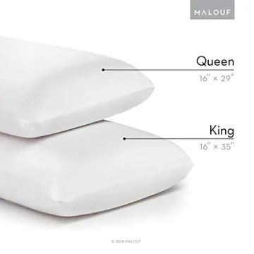 Natural Talalay Latex Zoned Pillow - Queen - Low Loft Plush